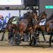 Major Delight stakes a claim to title