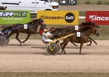 Fazekas drives both co-feature winners at Kincsem Park