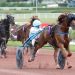 Veteran Hede Darling rallies at Enghien-Soisy