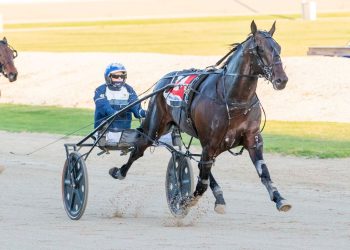 Weekly spotlight on breeding