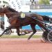 Trotting duel turns into a romp in France 2 Trotting duel turns into a romp in France