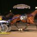 Open Trot won off perfect two-hole trip 2 Open Trot won off perfect two-hole trip