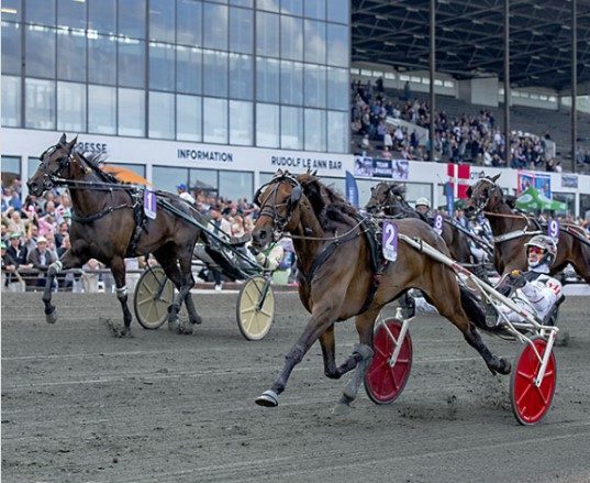 Juno wins Danskt Mares Derby; Copenhagen Sale in the books