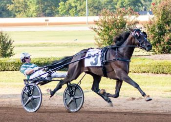 Update on Hambletonian winner Karl