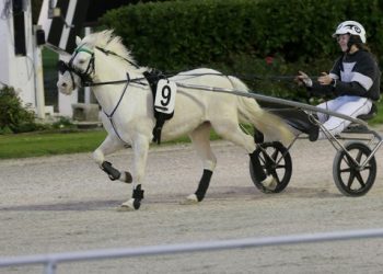 Youngster to debut at Cambridge tonight