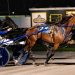 Co-feature trots to Keeper Of Secrets, Curry Hanover