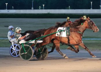 Gingras wins Invitational with his own horse