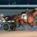 Gingras wins Invitational with his own horse
