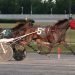 Silk Cloud A captures Yonkers invitational