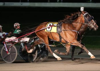 Twin $39,000 Opens held at Yonkers