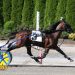 Legendary Hanover sets track record in EB Classic