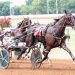 Fillies continue to seek perfection at The Red Mile