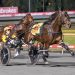 Major Moth impressive in Group 2 Kilmore Pacing Cup