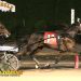 May Baby best at Tioga