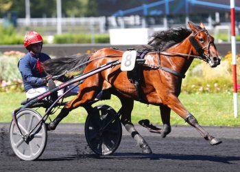 Morality wins Prix des Cyclamens at Vincennes
