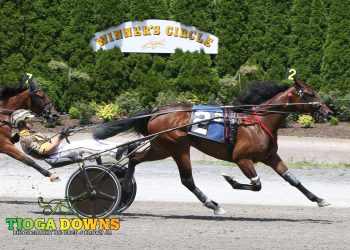 NYSS frosh filly trotters in $102,500 battle at Batavia