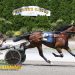NYSS frosh filly trotters in $102,500 battle at Batavia