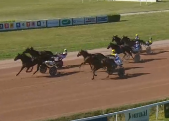 Just A Gigolo takes Criterium de Vitesse de Basse Normandie