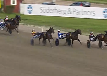 Far Wise As impressive E3 winner at Gavle