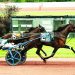 Trotting fillies shine in PASS
