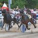 Significant changes for The Raceway’s Fall Meet