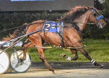 Michael Hall gets training double in Maryland Race Fund