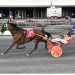 Pocket-rocket takes Vernon Downs feature