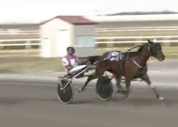 56-1 upset rocks Century Downs