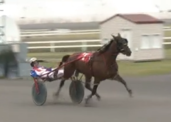 Stash The Cookies back with victory