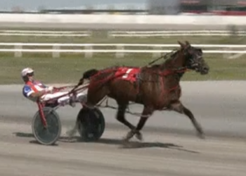 Top Century mare goes back-to-back