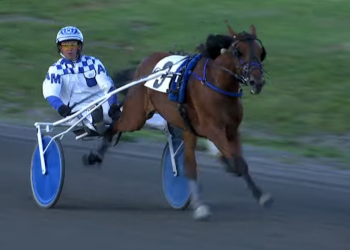 Track record broken again at Charlottetown