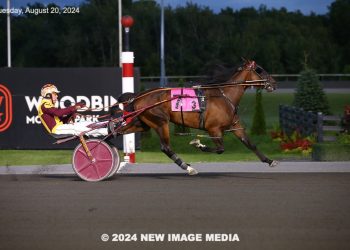 Lifetime marks in Grassroots leg four