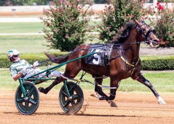 Sippinonsearoc, Karl back at The Red Mile Sunday