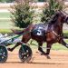 Sippinonsearoc, Karl back at The Red Mile Sunday
