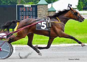 Rich purses for NYSS trotters at Batavia Saturday