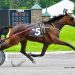 Rich purses for NYSS trotters at Batavia Saturday 2 Rich purses for NYSS trotters at Batavia Saturday