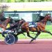 South Beach Star shines in Pocono feature