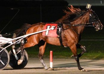 Adamczyk cashes in NAADA Summer Series Final