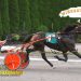Sweet Cheyanne gets the job done at Tioga