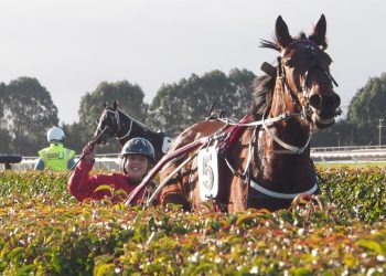 Williamson and Tomlinson achieve double