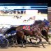 Toccoa Falls wins thrilling Open Trot finish
