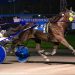 Open Trot and Pace held at Batavia Downs