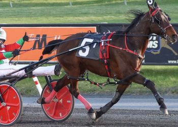 Is Marty Monkhouser harness racing’s last hero?