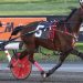 Is Marty Monkhouser harness racing’s last hero?