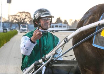 Alabar Syndicate’s patience rewarded with son of Lazarus