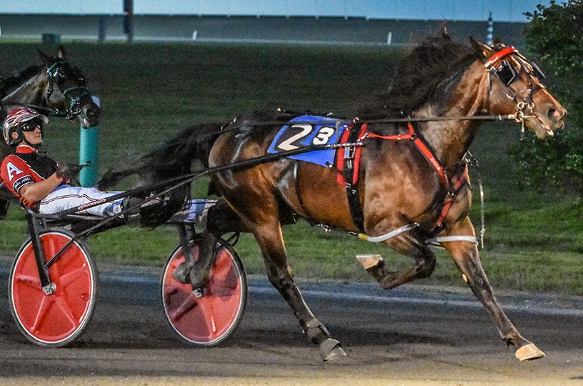 Yall Keep Dreaming driven with authority 1