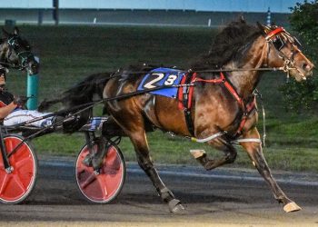 Undefeated Yall Keep Dreaming repeats in Maryland Sire Stakes