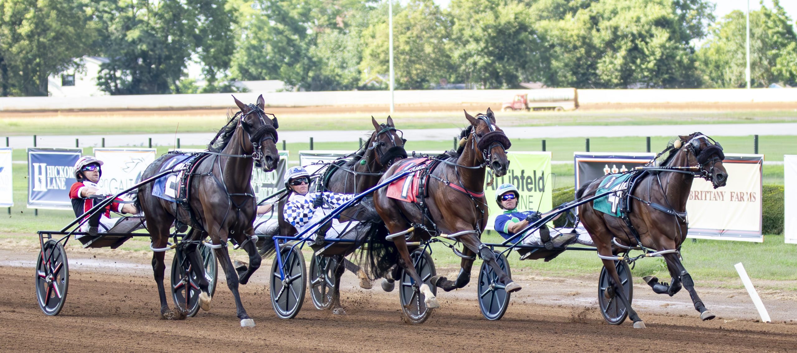 Direction finds its way home, Chat Room surprises at the Red Mile