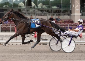 Trotting fillies shine in PASS at The Meadows