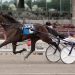 Trotting fillies shine in PASS at The Meadows 3 Trotting fillies shine in PASS at The Meadows